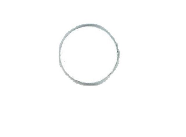 MSR Fuel Pump Screen Reservedel 