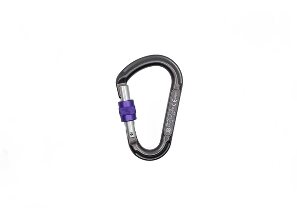 Beal BE LOCK SCREW Karabiner Skru Matt Grey 