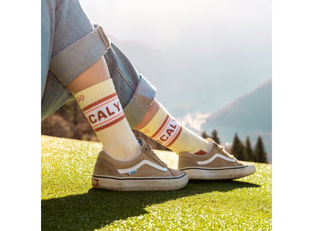 YY ROCK SOCKS Old School Vibes - M (39-42) 