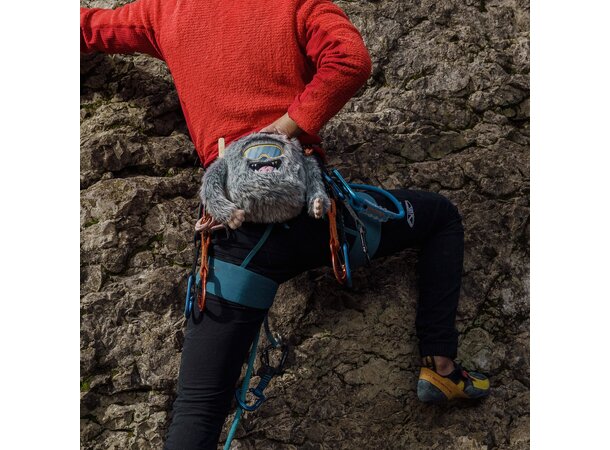 YY Chalk Bag - Yeti Chalk Bag 