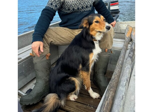 KAMIK TUNDRA Vintersko Herre BLACK - 43 