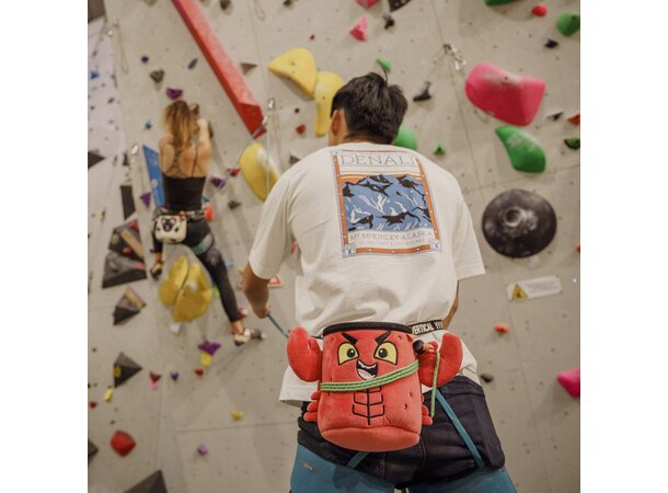 YY Chalk Bag - Lobster Chalk Bag 