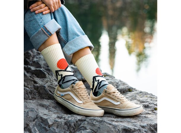 YY ROCK SOCKS Mountain Origins - L (43-46) 