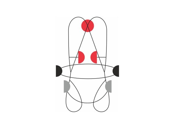 CAMP ELEKTRON Fallsikringssele Str. L-XXL 
