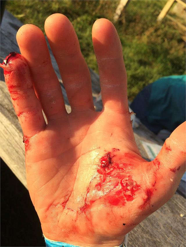 Foto: Martin Skaar Olslund